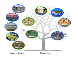 Image result for organisms and their environment