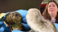 Patterson murder trial told how death cap mushrooms become lethal