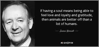 TOP 25 QUOTES BY JAMES HERRIOT | A-Z Quotes via Relatably.com