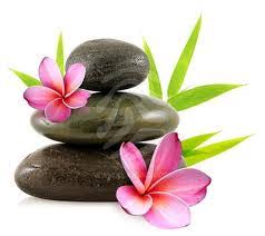 R�sultat de recherche d'images pour "lipome dos image ou bosse de bison"