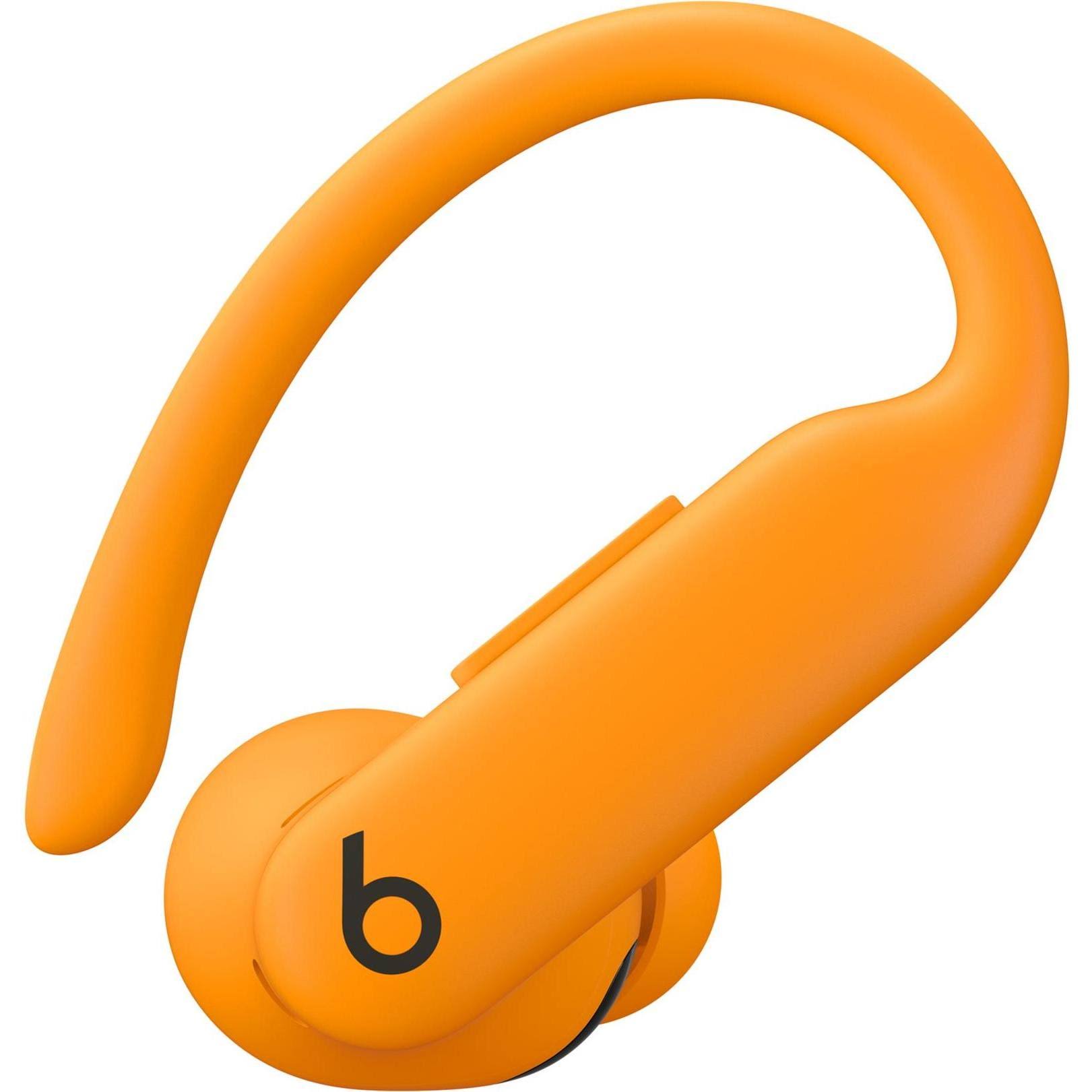 Beats Powerbeats Pro 2 Wireless Earbuds