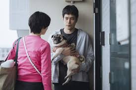 News source: Yahoo!ニュース