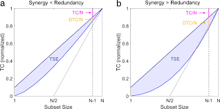 “Revealing Synergistic Subsystems of the Human Cerebral Cortex through Multivariate Information Theory”