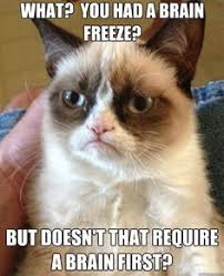 Grumpy Cat on Pinterest | Grumpy Cat Meme, Grumpy Cat Quotes and ... via Relatably.com