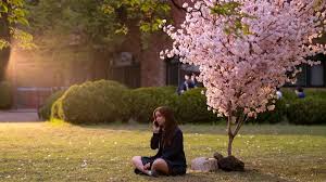 Besos, Kitty: Temporada 3 – Estreno, trailer y todo sobre la serie en Netflix