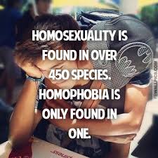 Lgbt Facebook Sayings And Quotes. QuotesGram via Relatably.com