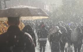 Trend Google: protezione civile