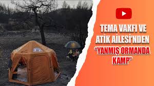 yalova çevre gazetesi haber sitesi - News update