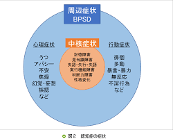 認知機能の低下の画像