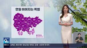 KBS 뉴스 - News update