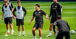 Malmö FF - News update
