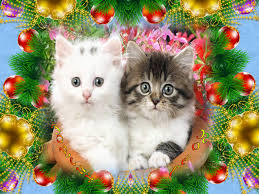 Résultat de recherche d'images pour "bonne année chats"