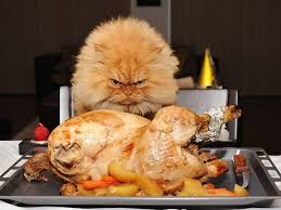 С днём рождения, граф!!!!!