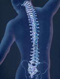 Prentresultaat vir spinal twist