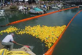 Dartmouth Duck Race Raises Thousands for Local Charities