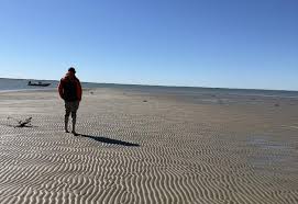 South Louisiana is doomed? Don't tell that to the startups trying to save it.