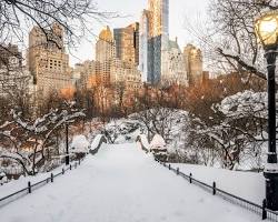 Image of New York City in Winter