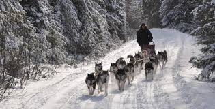 Résultat de recherche d'images pour 