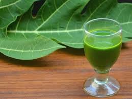 Hasil gambar untuk daun pepaya obat penyakit