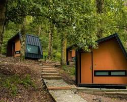 Gambar Bobocabin Ranca Upas