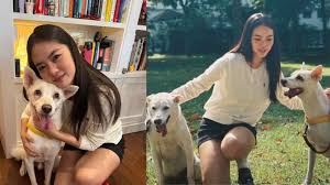 Chantalle Ng’s Foster Dog Rescued From Korea Needs SG Home