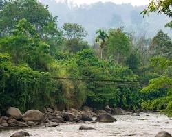 Gunung Leuser National Park, Aceh