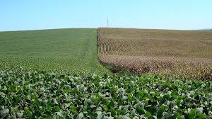 Clima extremo ameaça crédito e seguro no agronegócio
