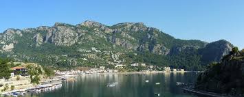 Picture of Turunç