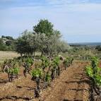 Promenade en gabarre sur le lotion