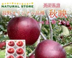 長野県のさくらんぼの初荷のイメージ