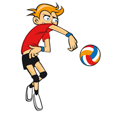 Afbeeldingsresultaat voor volleybal