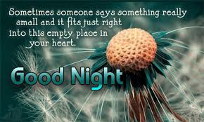 Good Night SMS for Girlfriend, Wife or her via Relatably.com