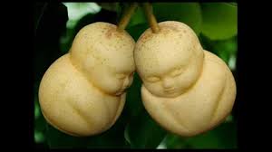 �������� �� ������� narilatha wiki
