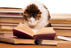 Képtalálat a következőre: „read books”