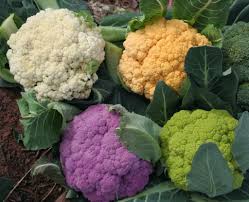 Image result for cauliflower