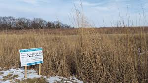 Lenexa Neighbors Voice Concerns Over Habitat for Humanity Development