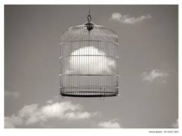 Image result for chema madoz