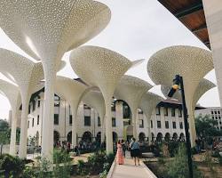 Image of Blanton Museum of Art in Austin, Texas