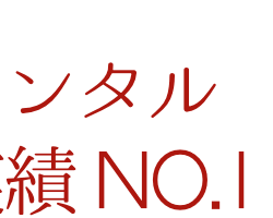 絹裳 留袖レンタル 札幌の画像