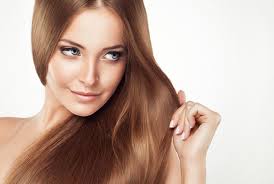 صورة ذات صلة