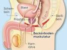 Medikamente gegen prostataentzundung