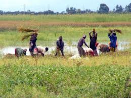 Image result for ehsq nagarjuna group