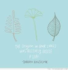 Barbara Kingsolver Quotes on Pinterest | Basic Instinct, Lungs and ... via Relatably.com