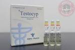 Alpha Pharma Testocyp 1ml vial 250mg1ml: - Your