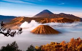 Image result for bromo