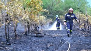 Trend Google: grave incendio