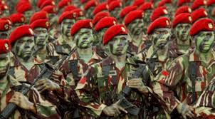 Image result for ALUTSISTA KOPASSUS TERELIT