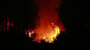 France and Spain are suffering their biggest wildfires on record