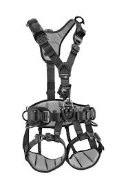 Petzl - Astro, International Version – Rope Access Equip