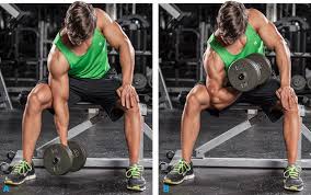 Image result for cara latihan bicep